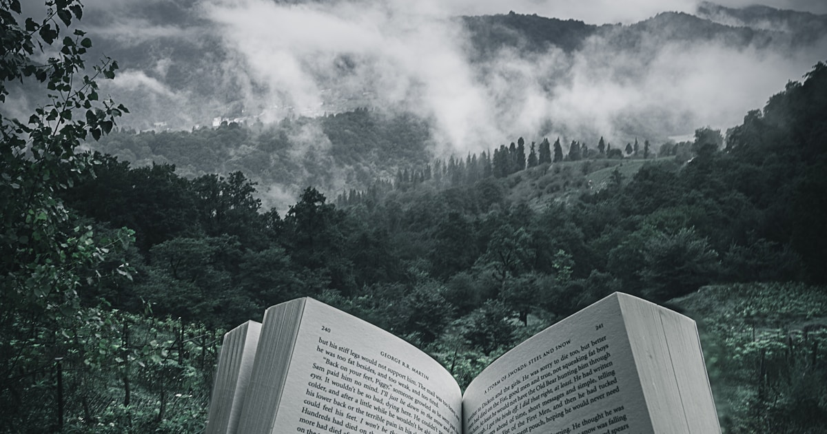 Zelenskiy to Announce Ukraine Election and Peace Referendum Plans on February 24